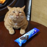 harper (@lordfartquad224) 's Twitter Profile Photo