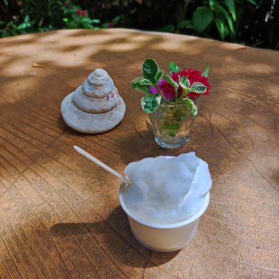 1VBosCYfOx5oWhO's profile picture. 24 社会人