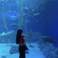 Kotoko (@kotoko568235909) 's Twitter Profile