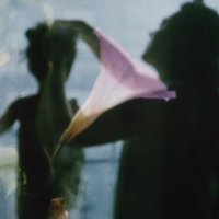 renad (@builtbymath) 's Twitter Profile
