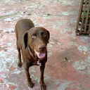 beaver raymond - @BeaverRaymond - Twitter