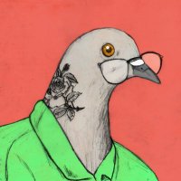 cardanomosh (@cardanomosh) 's Twitter Profile