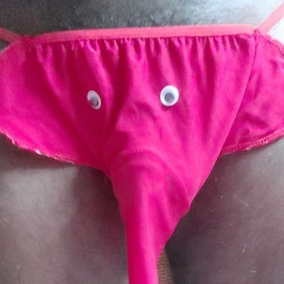 knightking99's profile picture. 