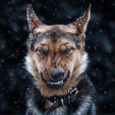 Sasha0577941487's profile picture. 