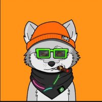 寂寞先生 (@gaosheng59018) 's Twitter Profile
