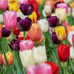 akime1052283's profile picture. 副業の成功法を共有中。副業を始めたい人に役立つ情報を発信。少額ですが現金プレゼント企画も始めました★ 期間限定▷ https://t.co/rjjEniNc4C