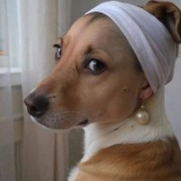 YeahItsEats (@yeahiteats) 's Twitter Profile