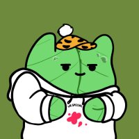 EtherSurfer 🌊💻 (@0xethers) 's Twitter Profile