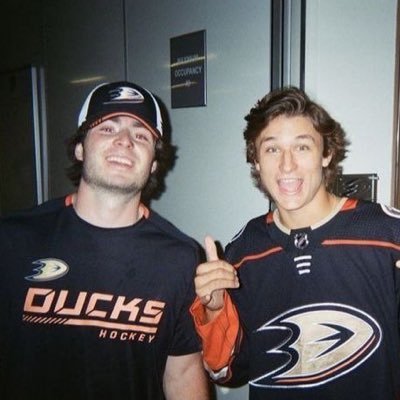 sillybrini Profile Picture