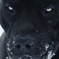 🌏🕒🕑🕓🌓ヽ(o´3`o)ノ (@murat_camglu) 's Twitter Profile