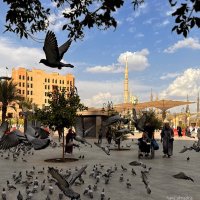 محمد الجمالي (@corama12345) 's Twitter Profile Photo