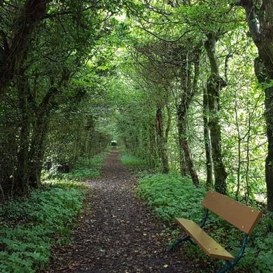 Mafalda2x2's profile picture. 