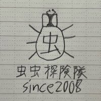 虫虫探険隊『公式』チャンネル名言bot (@mmtt_bot) 's Twitter Profile