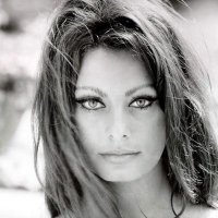 Phoenix Luddite (@phoenix_v_ashes) 's Twitter Profile