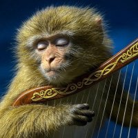 Harpmonkey🇺🇸 (@harpmonkeee) 's Twitter Profile