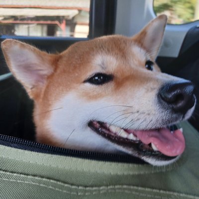 都内から福岡に引っ越し、インフラエンジニアとして働きつつ、AWSとGoogle Cloudについて呟くのが多いかもよ。