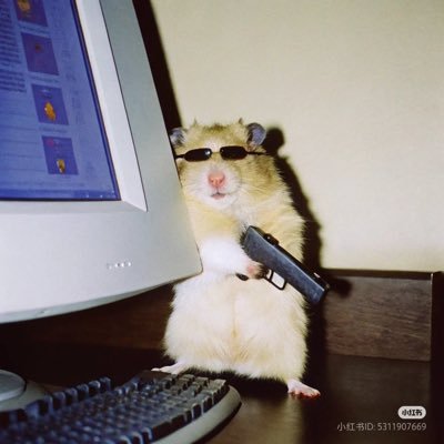 ZulZubir's profile picture. 