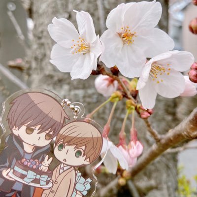 Yuさんのプロフィール画像
