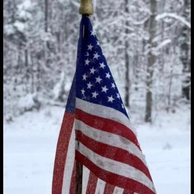 ummakawae's profile picture. Trader Airdrop hunters💪👌🇺🇸
