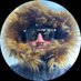 LouiisBeton (@louiisbeton) Twitter profile photo LouiisBeton (@louiisbeton) Twitter profile photo