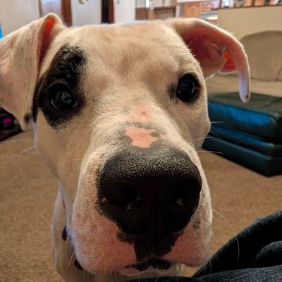 Ray61436's profile picture. 