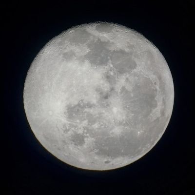 Coral_0044's profile picture. 