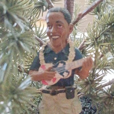 Kalii45088's profile picture. I live for the sun! Love to kayak, snorkel.