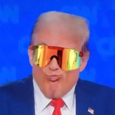 fuckmikeelko's profile picture. smartest lsu fan