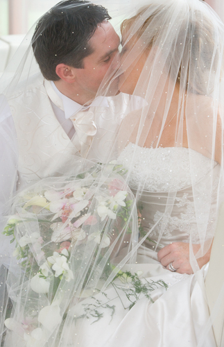 weddingfleurs's profile picture. Wedding Flower Specialist at http://t.co/9fKCqLyWyY Passionate about family, friends, my 2 dogs and all living things! Nature does it best :)