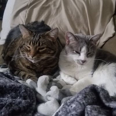 deehzul's profile picture. For those who come after.