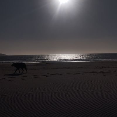 dre4am_w0rld's profile picture. 