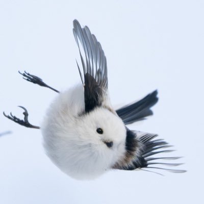 Imakan4649's profile picture. 野球⚾︎/ダーツ🎯/スタバ☕︎/LOVE♡＆PEACE✌︎/ お気軽にフォローミー♪