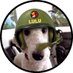 lulu bubba 🐻❄️ #ZSHQ (@tiredbubba) Twitter profile photo lulu bubba 🐻❄️ #ZSHQ (@tiredbubba) Twitter profile photo