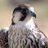 434_aaa's profile image