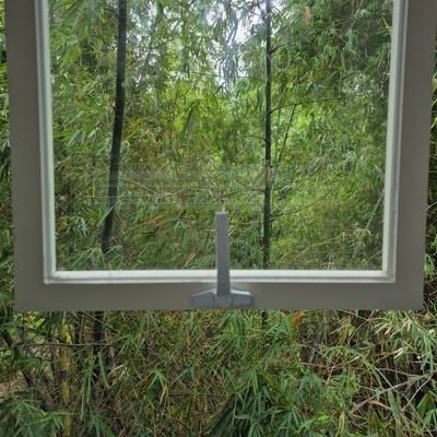 writerwormever's profile picture. 