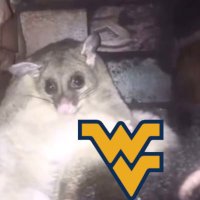 Well Respected Media Source (@mnkynipsforever) 's Twitter Profile