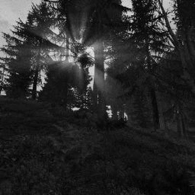 Sotac347196's profile picture. 