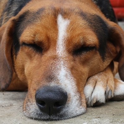 dts_dtslc's profile picture. 22🫁