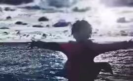 lishu724629's profile picture. 