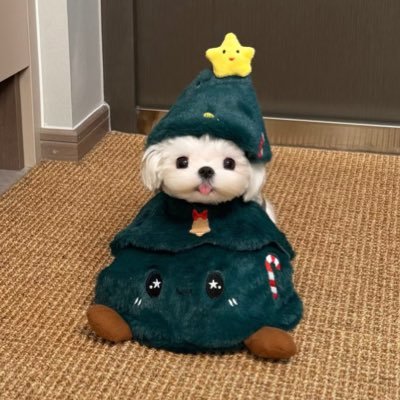 minipyyy's profile picture. 