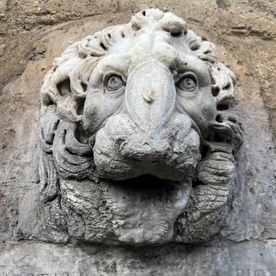 RafaCaviedes's profile picture. El individuo libre es el que acompaña el crecimiento humano, social y económico. Prefiero decir la verdad a esconderme en lo “políticamente correcto”