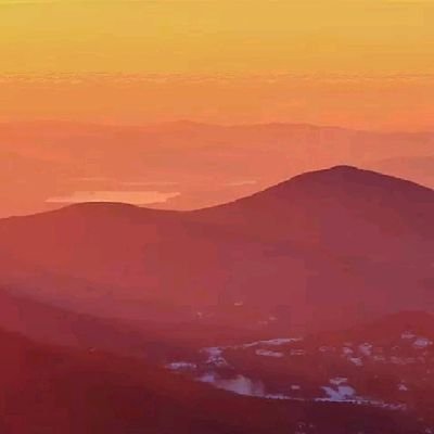 In_Progress55's profile picture. !