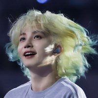 ๊ธ๋ฐ๋ฝ์๐ (@blondepoppy) 's Twitter Profile