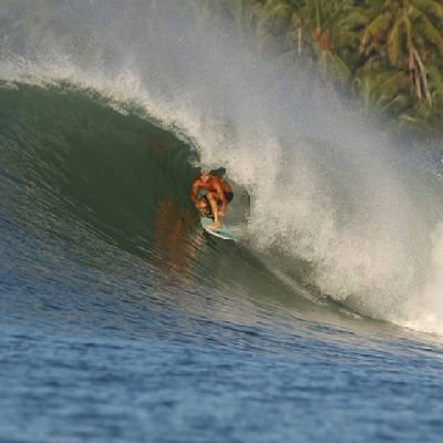 Csalt07's profile picture. Tropical Degen 🌴 🌊