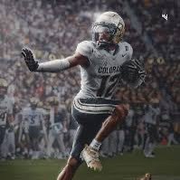 The Tailgate Tent🏈⛺️ (@thetailgatetent) 's Twitter Profile Photo