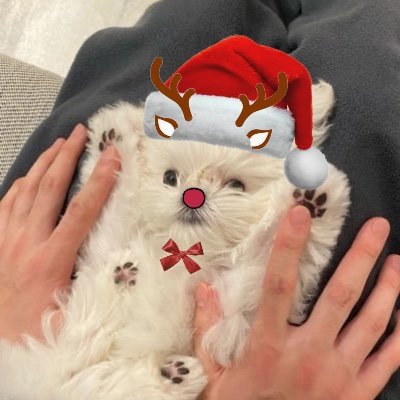 minch.さんのプロフィール画像