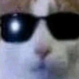 I'm 19 and also TAKEN (aka. DATING)
Yes, I'm Bisexual💥🔥🔥
I RARELY open Blender