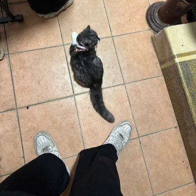 tuanhoanggggg's profile picture. Life suck