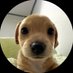 Billy (@billycoin4ever) Twitter profile photo Billy (@billycoin4ever) Twitter profile photo