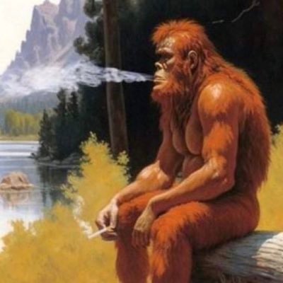 val_guerram's profile picture. 🏜️